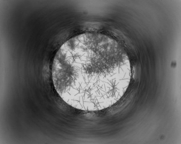 X0000103911395200810311421