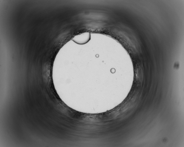 X0000103911396200810311421