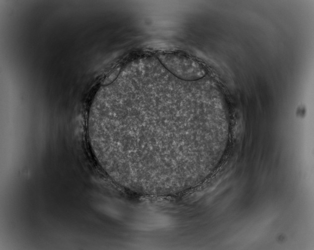 X0000103911397200810311421