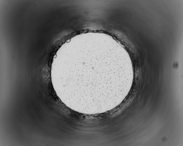 X0000103911398200810311421