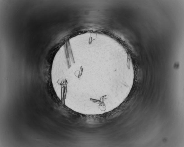 X0000103911399200810311421
