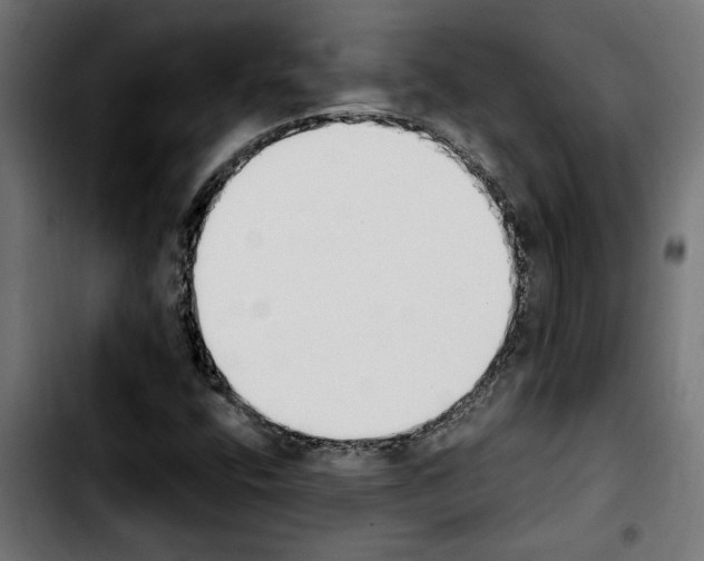 X0000103911400200810311421