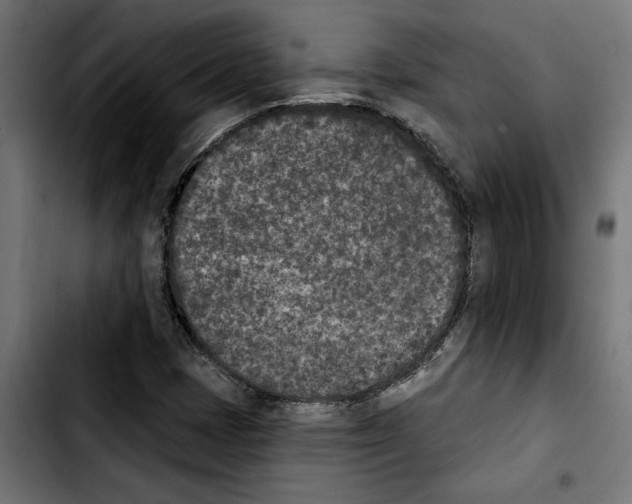 X0000103911401200810311421