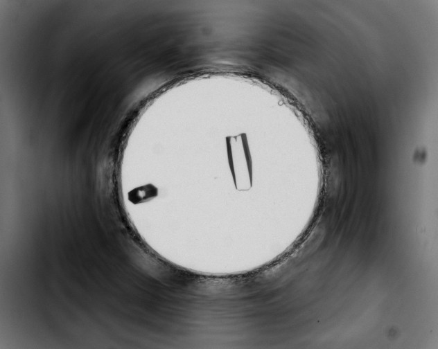 X0000103911402200810311421
