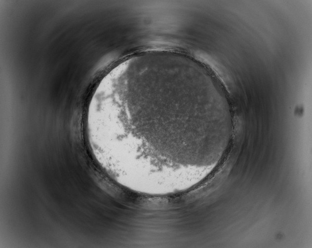 X0000103911403200810311421