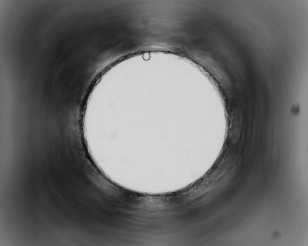 X0000103911404200810311421