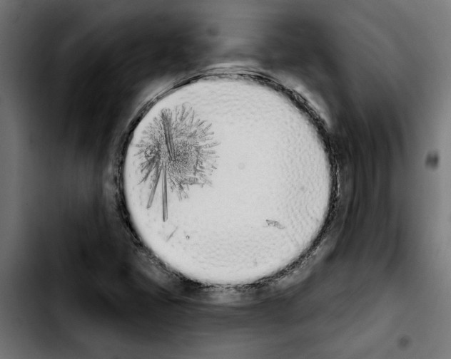 X0000103911405200810311421