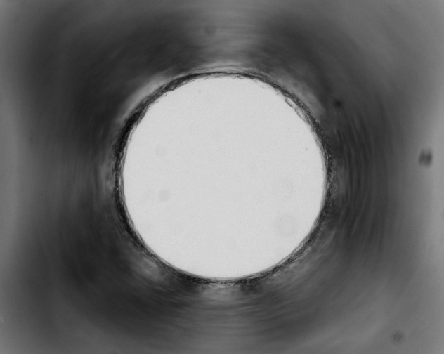 X0000103911406200810311421