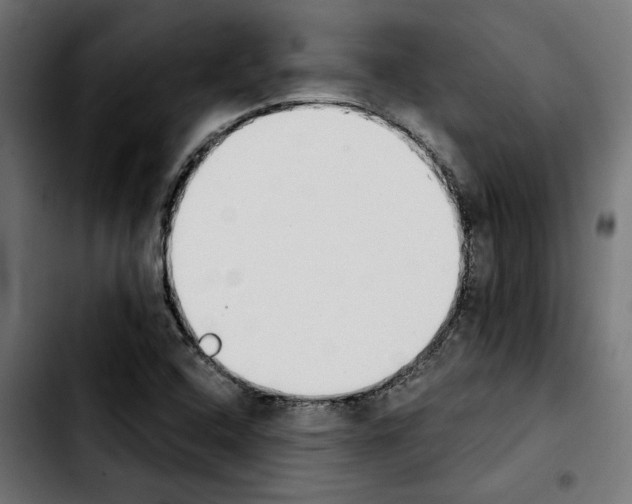 X0000103911408200810311421