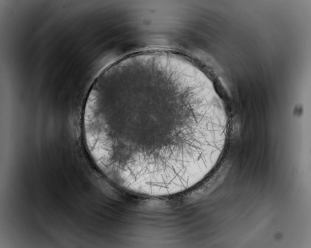 X0000103911409200810311422