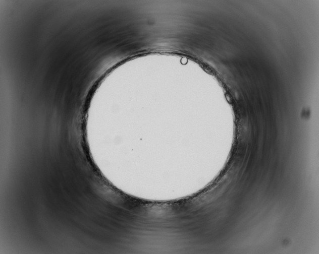 X0000103911410200810311422