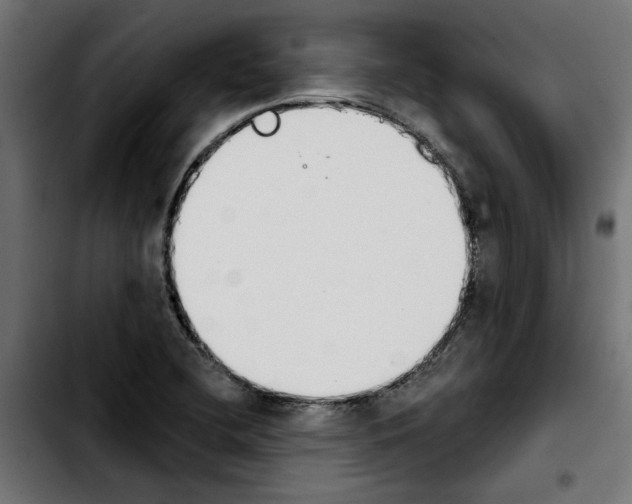 X0000103911412200810311422