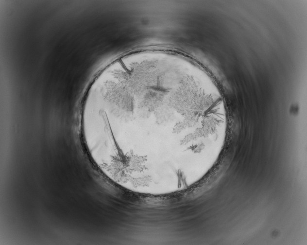 X0000103911413200810311422