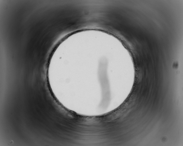 X0000103911416200810311422