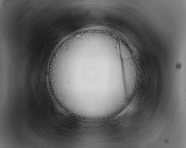 X0000103911417200810311422