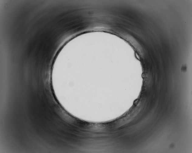 X0000103911420200810311422