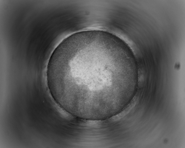 X0000103911423200810311422