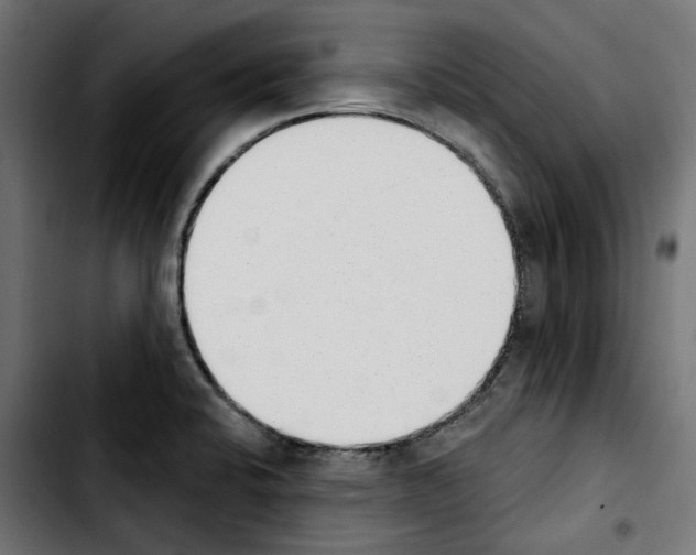 X0000103911424200810311422