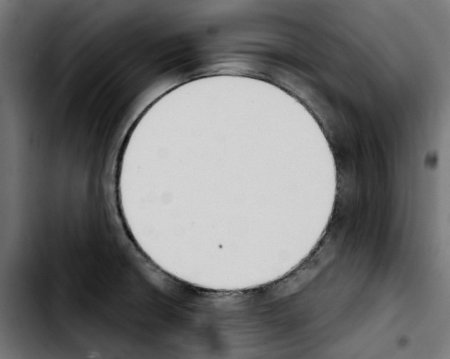 X0000103911426200810311422