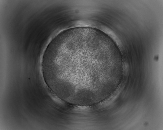 X0000103911427200810311422