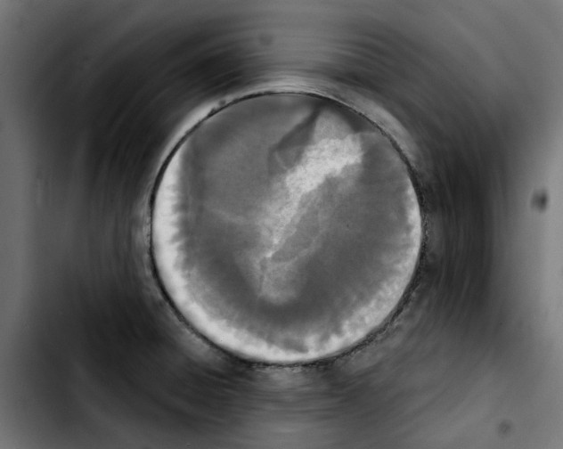 X0000103911428200810311422