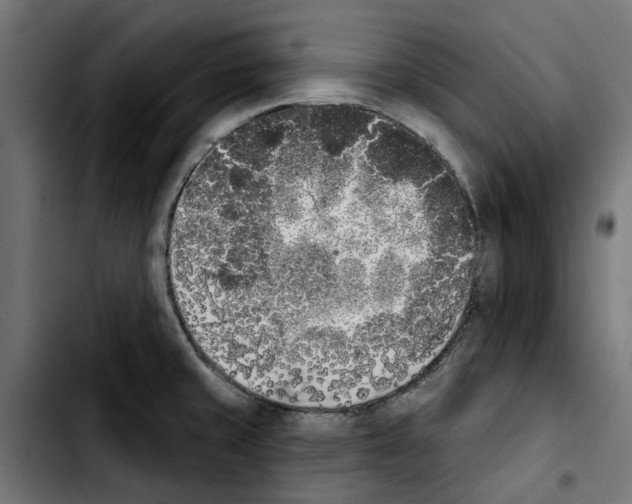 X0000103911429200810311422