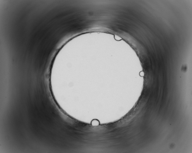 X0000103911430200810311422
