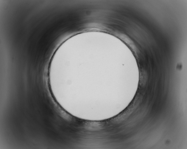 X0000103911431200810311422