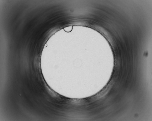 X0000103911433200810311422