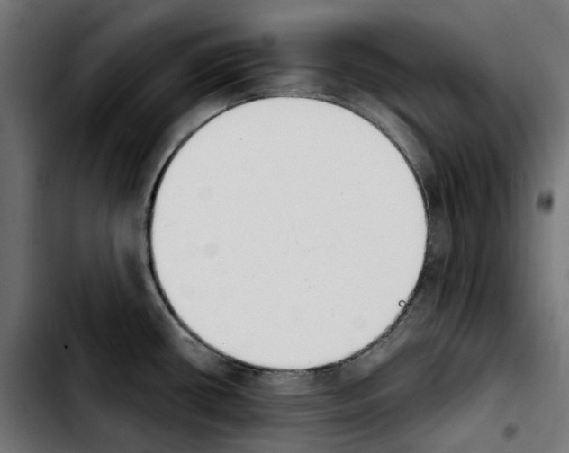 X0000103911434200810311422