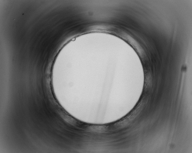 X0000103911435200810311422
