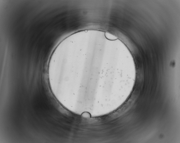X0000103911436200810311422