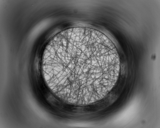 X0000103911438200810311422
