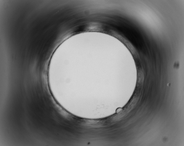 X0000103911439200810311422