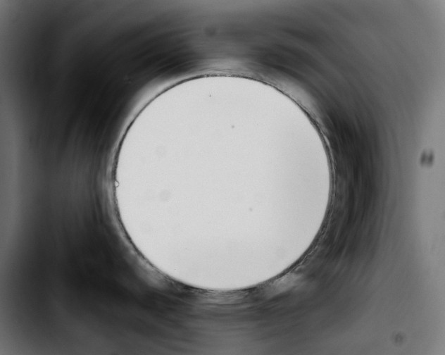 X0000103911440200810311422