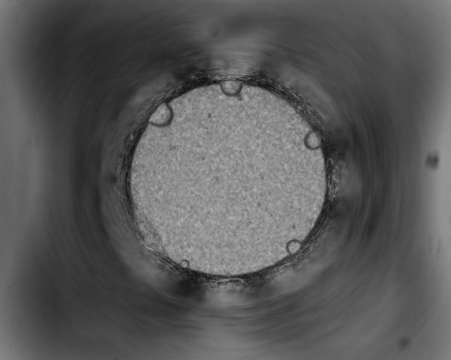 X0000103911441200810311421