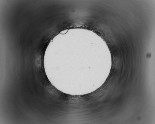 X0000103911442200810311421