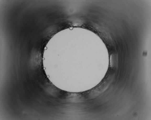 X0000103911443200810311421