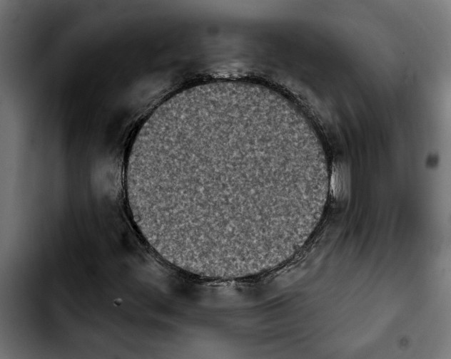 X0000103911444200810311421