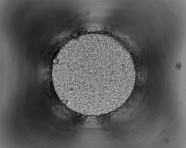 X0000103911445200810311421