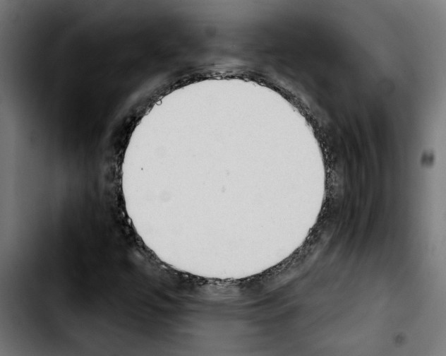 X0000103911447200810311421