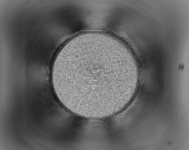 X0000103911449200810311421