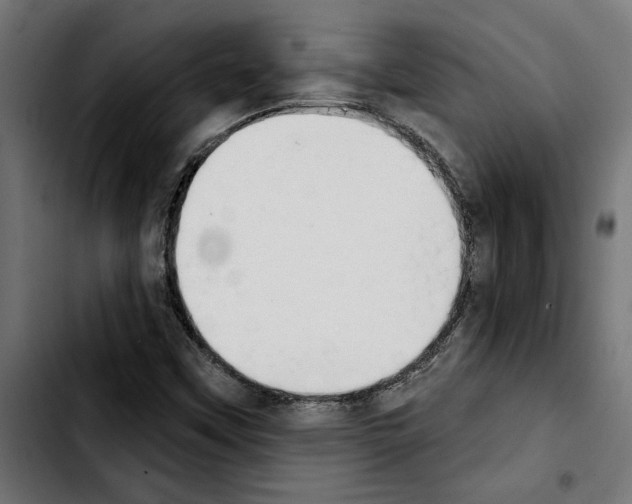 X0000103911451200810311421