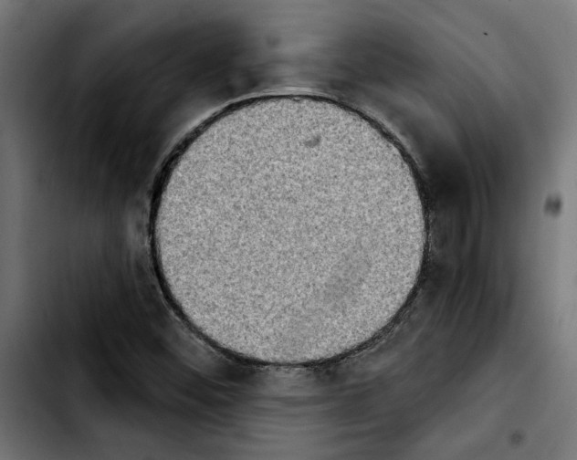 X0000103911452200810311421
