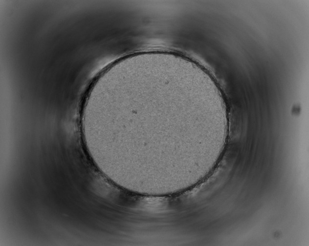 X0000103911453200810311421