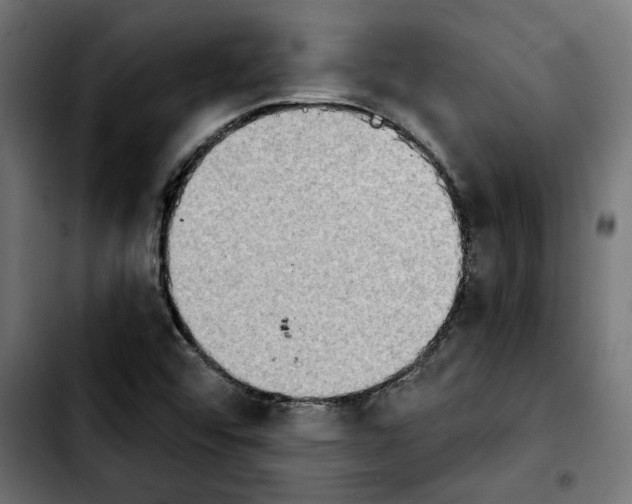 X0000103911456200810311421