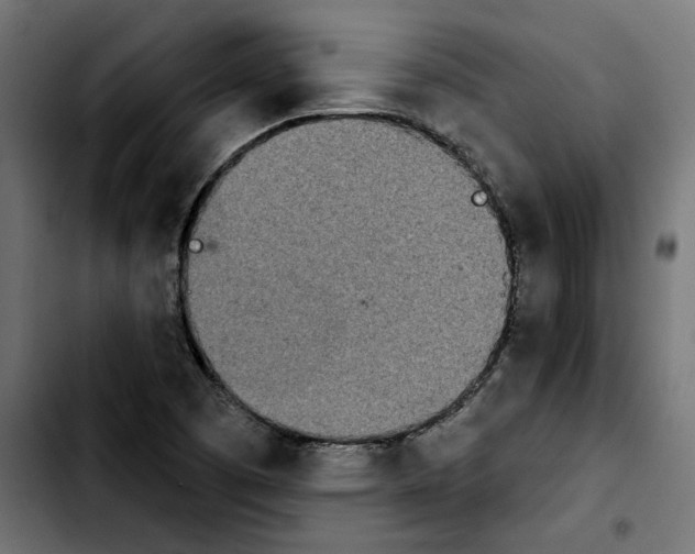 X0000103911457200810311421