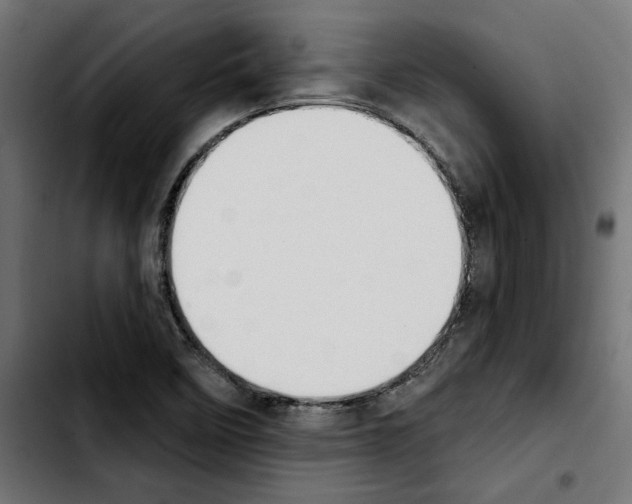 X0000103911458200810311421