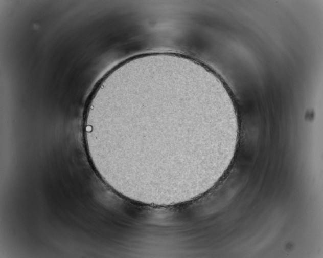 X0000103911460200810311421