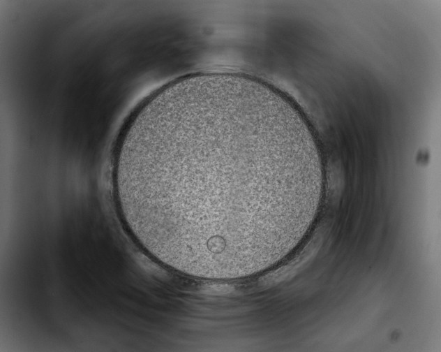 X0000103911462200810311421